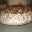 torta