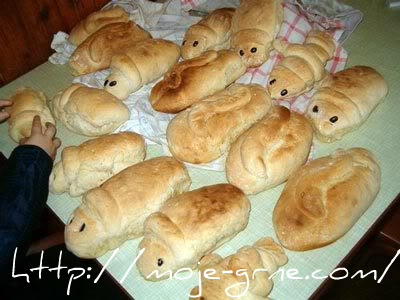 grgusavci-guskice grgusavci-guskice