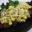 kukuruz-salata-standardna-1
