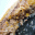 DSCF0345-1
