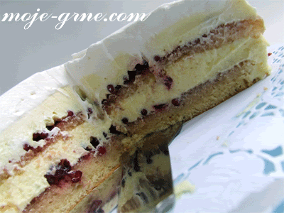 vocna-torta1 vocna-torta1