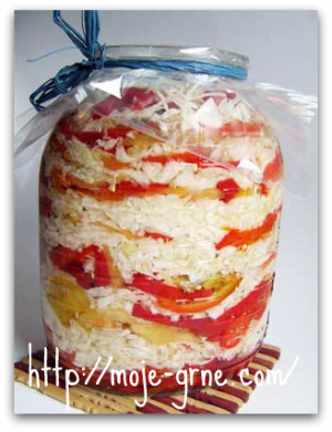 slagani-kupus-i-paprika slagani-kupus-i-paprika