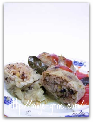 timocka-sarma2 timocka-sarma2