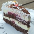 COKOLADNA TORTA SA VISNJAMA metalac & moje grne