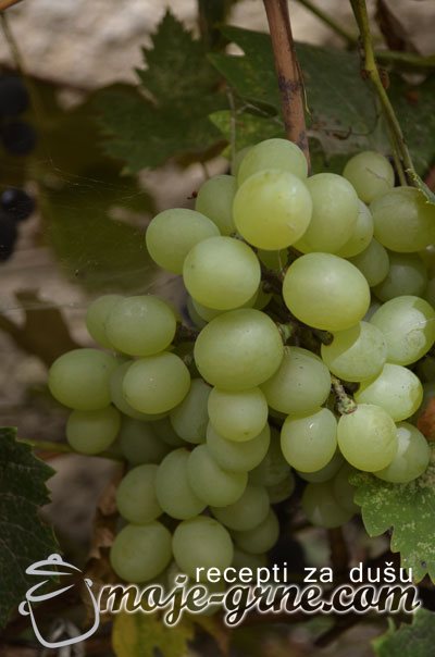 belo grozdje