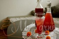 Sirup/sok & marmelada od drenjina