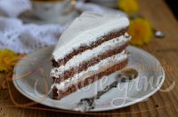 Torta sa plazmom i gotovim korama